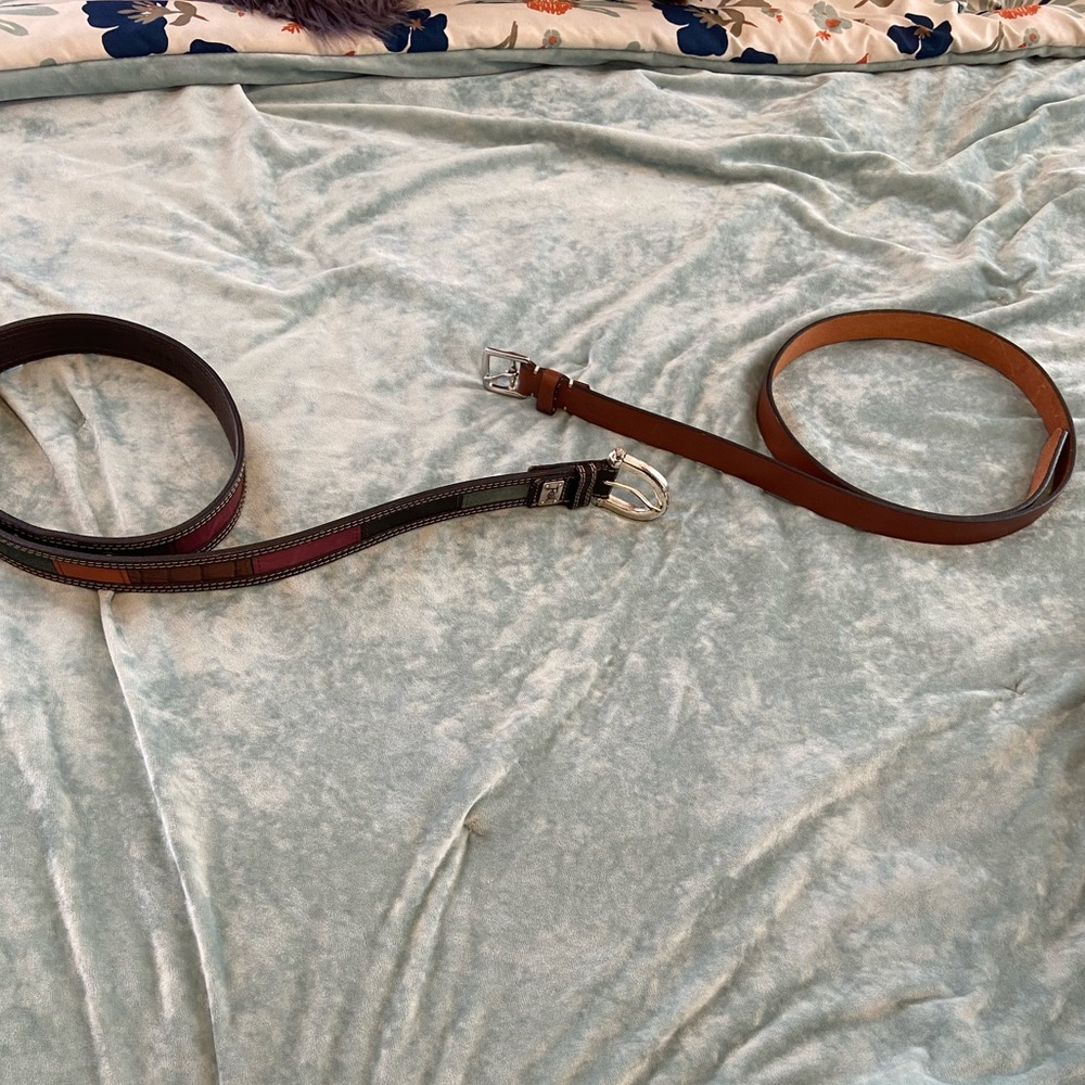 FOSSIL & COACH BELTS